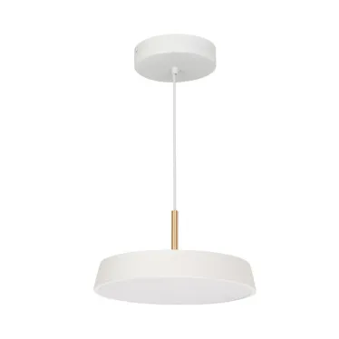 Светильник SP-ELEGANT-R300-17W Warm3000 (WH, 120 deg, 230V) (arlight, IP20 Металл, 3 года) | 033914 | Arlight
