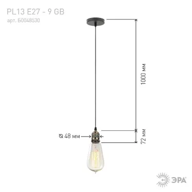 Светильник накладной подсветка PL13 E27 - 9 GB , цоколь Е27, провод 1 м, цвет медь (60/360) | Б0048530 | ЭРА