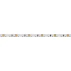 Лента светодиодная RT-A120-5mm 12V Yellow (9.6 W/m, IP20, 5m) (ARL, 9.6 Вт/м, IP20, 120 LED/m)