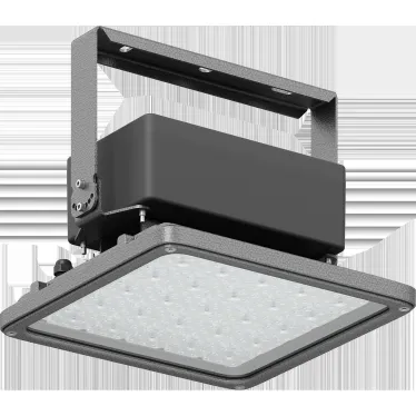 Светильник INSEL LB/S LED 70 D60 Ex 5000K
