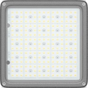 Светильник INSEL LB/S LED 70 D60 Ex 5000K