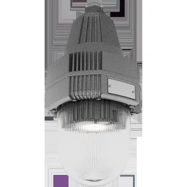 Светильник светодиодный ATLAS ECO LED 25 D270 G Ex