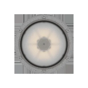 Светильник ZENITH LED Ex G2/G 30W D270 850 HG