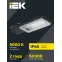 Светильник светодиодный консольный ДКУ 1011-30Ш 5000К IP65 IEK