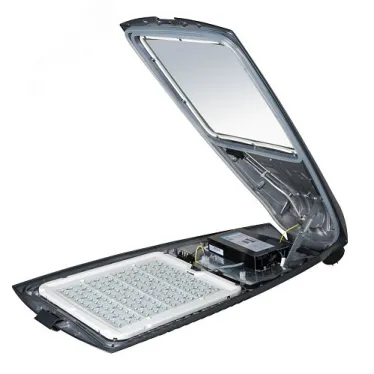 Светильник светодиодный ДКУ-300 Урбан L LED-300-ШО/У50 (45000/740/RAL7040/0/ORN2/GEN1)