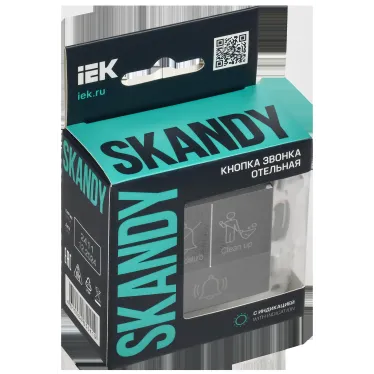 SKANDY Кнопка звонка с индикацией для отелей 10А SK-V17T титан IEK