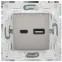 SKANDY Розетка USB A+C 3,1А SK-R14N никель IEK