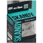 SKANDY Розетка USB A+A 3,1А SK-R15N никель IEK