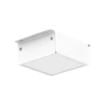                  Светильник TLGD01 OL ECP EM (LED, 4000 K, 1 ч., РТ)
               