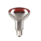                  Лампа накаливания инфракрасная зеркальная ИКЗК 250Вт R125 Е27
               