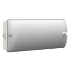                  Светильник аварийный BS-METEORIT-53-L1-INEXI2 5000K DD01
               