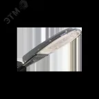 Светильник светодиодный уличный ДКУ17-125-001 750