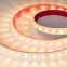 Лента светодиодная герметичная FLT-PS-A42-23mm 24V Warm2700 (21 W/m, IP67, 15deg, 5m) (ARL, 42 LED/m)