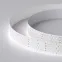 Лента RT-A350-58mm 24V White6000 (36 W/m, IP20, 2835, 2.5m) (Arlight, 36 Вт/м, IP20)