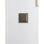 BRITE Рамка 1 пост IP44 РУ-1-БрШ-44 шампань
