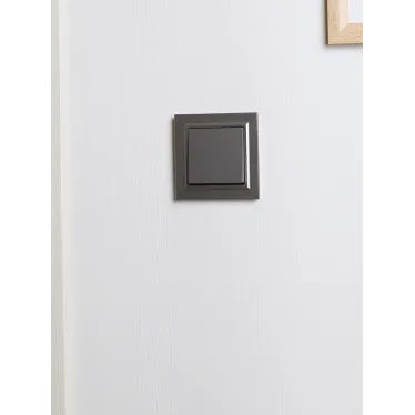 BRITE Рамка 1 пост IP44 РУ-1-БрС-44 сталь