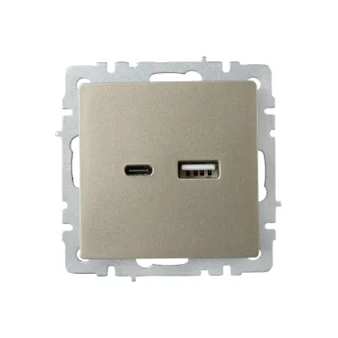 BRITE Розетка USB A+C 18Вт РЮ11-1-БрШ шампань