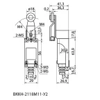 Концевой выключатель ВККН-2118М11-У2 роликовый рычаг 5А 1з+1р IP65  | SQ0732-0030 | TDM