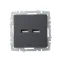 BRITE Розетка USB A+A 3.1А РЮ10-1-БрГ графит