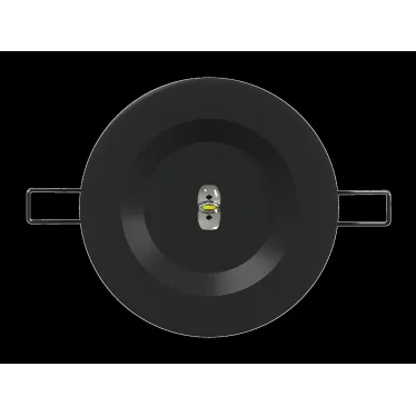 Светильник аварийный BS-ARUNA-10-L2-ELON IP40 Black