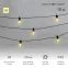 Гирлянда Лофт уличная, черный каучук, 20 прозрачных ламп х 1 LED, IP65