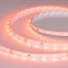 Лента светодиодная RT-A60-8mm 24V Carrot (4.8 W/m, IP20, 5m) (ARL, 60 LED/m)