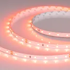 Лента светодиодная RT-A60-8mm 24V Carrot (4.8 W/m, IP20, 5m) (ARL, 60 LED/m)