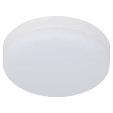Светильник светодиодный LED 15-24-4K накладной круглый 24Вт 4000К
