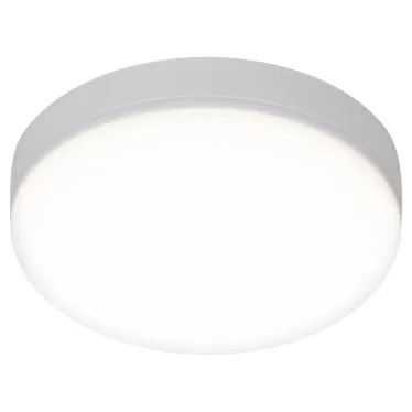 Светильник светодиодный LED 15-24-4K накладной круглый 24Вт 4000К