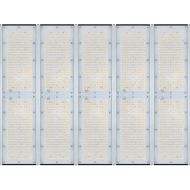 Diora Unit5 PRO 890/139000 К30 4K лира