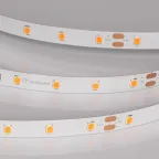 Лента светодиодная RT-A60-8mm 24V Carrot (4.8 W/m, IP20, 5m) (ARL, 60 LED/m)