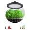 Фитопрожектор для растений светодиодный FITO-50W-RB-LED-UFO красно-синего спектра 50 Вт IP65