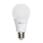 Лампа светодиодная LED 7Вт E27 580Лм 220V/50Hz холодный матовая груша ECO