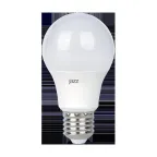 Лампа светодиодная LED 10Вт A60 E27 6500K низковольт. 12-48V JazzWay
