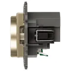 Розетка Elegance 14-4108-04 со шторками, 2P+E 16A-250В, с USB type-A+C 5В-3А, шампань