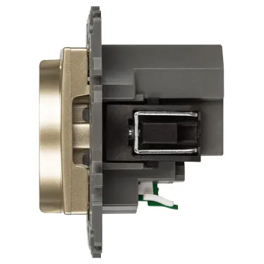 Розетка Elegance 14-4108-04 со шторками, 2P+E 16A-250В, с USB type-A+C 5В-3А, шампань