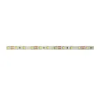 Лента светодиодная PLS PRO 2835/168-24V - 6000K IP20 5m Jazzway