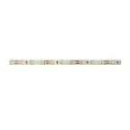 Лента светодиодная PLS PRO 2835/168-24V - 4000K IP20 5m Jazzway
