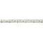 Лента светодиодная LEDx60/м 1м 6Вт/м 12В белый IP20 (5м)