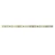 Лента светодиодная PLS PRO 2835/ 60-24V 3000K IP20 -5m Jazzway