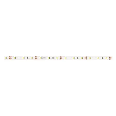 Лента светодиодная LEDx60/м 1м 6Вт/м 12В синий IP65 (5м)