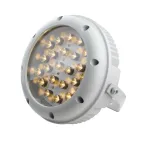 Светильник светодиодный ДО-48 Аврора LED-48-Ellipse/W3000/МG