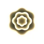                  Светильник настенно-потолочный ДБО-84Вт ''Цветок'' регулировка цветовой температуры и яркости 3000K-6500K макс. 6000Лм IP40 Jazzway
               