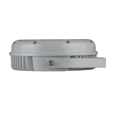 Светильник светодиодный ДО-48 Аврора LED-48-Ellipse/W3000/МG