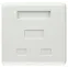 Розетка компьютерная RJ-45 категория 5е неэкранированная 2-порта упаковка 30 шт