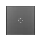 Выключатель сенсорный SWT-OMALI-S01-ZB-GR 250V, 10A, Zigbee Стекло