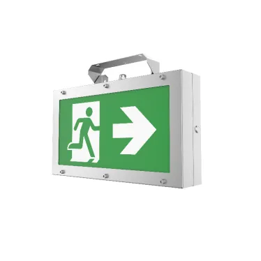 Светильник аварийно-эвакуационный Vault SST серии Advanced подвесной 12W 446х244х69мм IP66 1,5ч