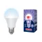 Лампа светодиодная LED-A65-20W/DW/E27/FR/NR Форма A, матовая. Norma. Дневной (6500K).