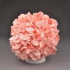                  Светильник светодиодный со сменной лампой (в/к) Гортензия Белый/Лосось E27, теплый белый свет (3000K). Плафон D150мм, прозрачный. Белое основание. TM
               