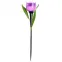 Светодиодный садовый светильник на солнечной батарее СОЛАР USL-C-453/PT305 PURPLE TULIP